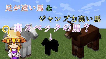 マイクラコマンド最強の馬の作り方 Mp3