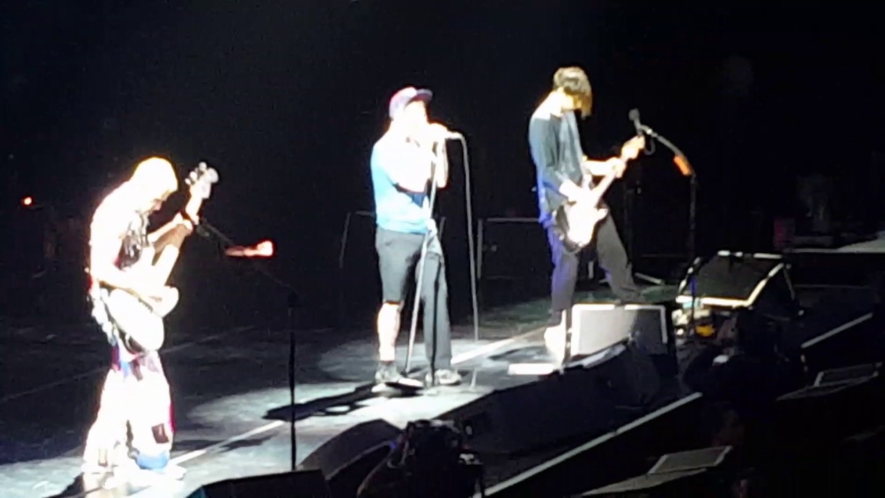 Dark necessities Red Hot Chili Peppers YouTube