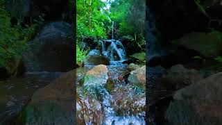 back to nature.. #generasiquraniyangkuatdanamanat #jalanyangjauhjanganlupapulang