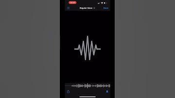 making an AI version of my voice! before and after