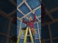 Turning a Giant Tree Into a Tiny House 🏠