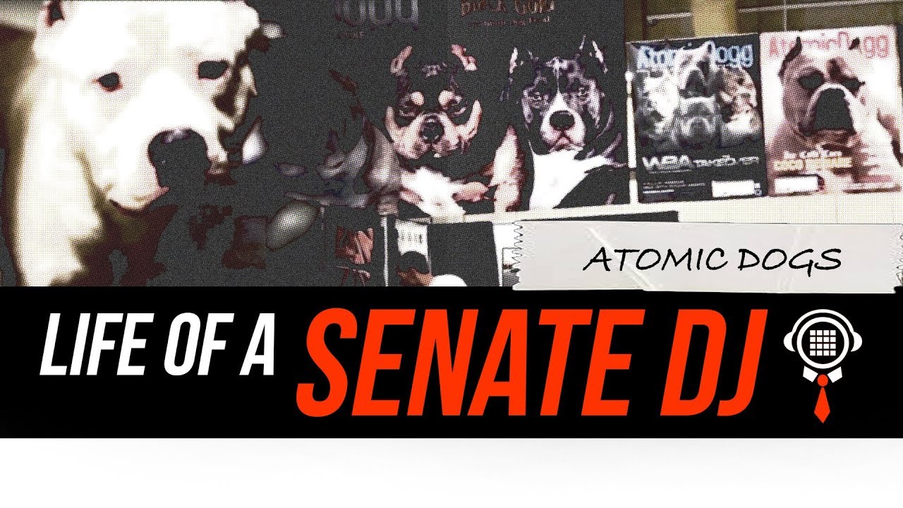 BIG PIT-BULLS at the American Bully Show - VLOG 2- ATOMIC DOGS video thumbnail