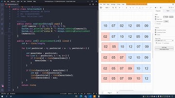 Algoritmo de Ordenação Selection Sort - JAVA