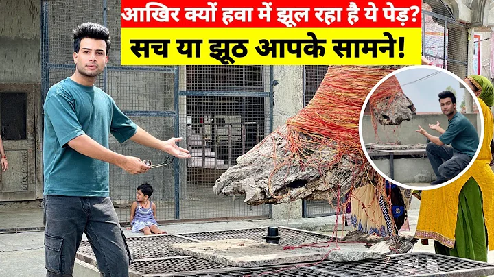 श्री जगन्नाथ पुरी Samadha Mandir | चमत्कारी व्रक्ष | Hisar Haryana | #hansi #hisar #haryana