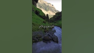 واتس اب قران كريم القارئ عبدالرحمن مسعد سوره (المزمل)