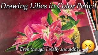 Drawing Lilies in color pencil