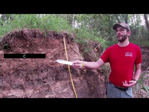 SJing 2020 - Alluvial Soils
