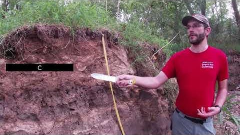 SJing 2020 - Alluvial Soils