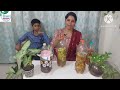 How to make bioenzyme from kitchen waste  benefits of bio enzyme for plants  uses of bio enzyme