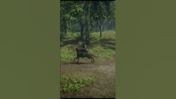 Riding Into the Wild – Cinematic Ambience