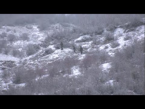 რუსი სამხედროები  საქართველოს მიწების ოკუპაციას აგრძელებენ  - ოკუპანტები მეჯვრისხევშიც გამოჩნდნენ