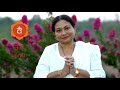 What are chakras  chakra guide for beginners by smita jayakar