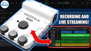The Joyo MoMix Review!