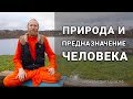 Природа и предназначение