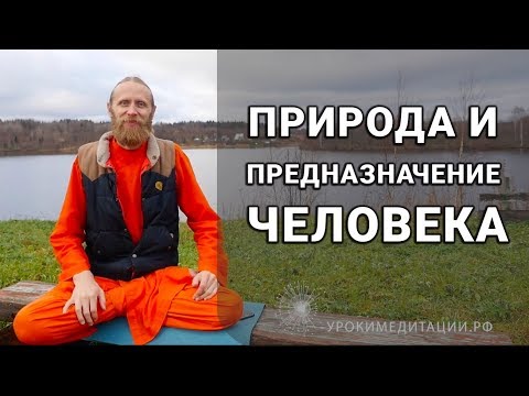 Природа и предназначение