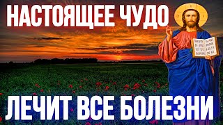 Эта молитва лечит все болезни исцеляющая молитва Вечерняя молитва