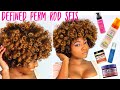 Top Curl Defining Products for Natural Hair | Best Perm + Flexi Rod Set Definition Stylers