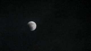 20111210皆既月食 A total eclipse of the moon.