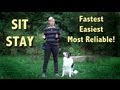 The easiest, most reliable SIT STAY  -  sit stay training! sit stay fun!