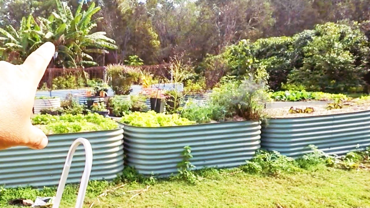 self-sufficient-me-garden-tour-vegetables-growing-in-winter-youtube