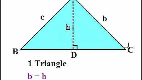 Ambiguous Case Part 1