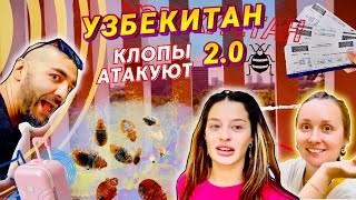 ГОА-ТАШКЕНТ. Страх и ненависть Ташкента. Аренда жилья, цены. Узбекистан весной, друзья.