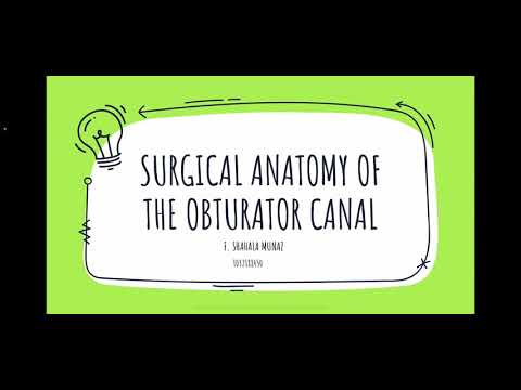 Surgical anatomy of the Obturator canal