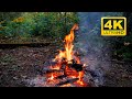 🔥 Cozy Campfire in the Forest (12 HOURS). Autumn Campfire with Crackling Fire Sounds