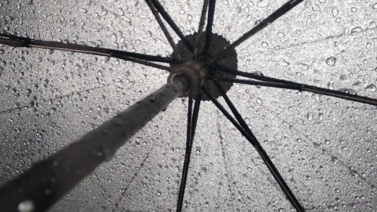 雨音　傘の中　rain sound　ASMR　under the umbrella