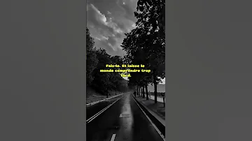 T Es Pas Tes Mots T Es Tes Actes Sartre CitationFrançaise MotivationVirile 