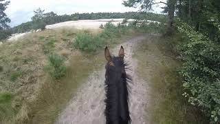 Sahara rit 2021 | Ponykamp Extreme manege Laarbrug | EquiFlo