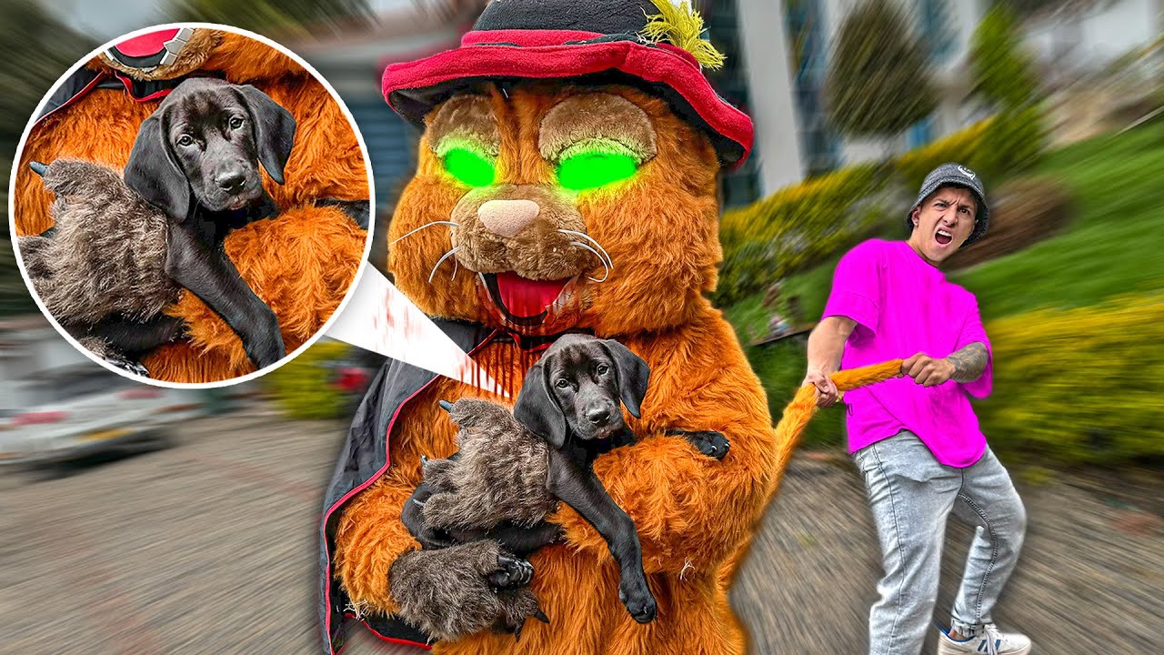 ¡¡EL GATO CON BOTAS.exe SE ROBA MI MASCOTA *le hace DAÑO*