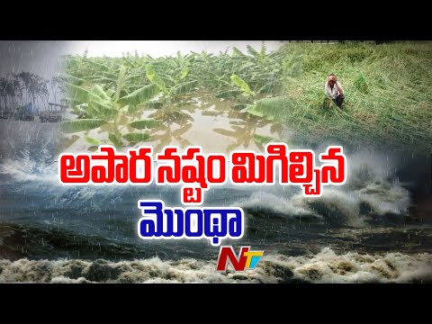 Guntur: రైతులకు అపార నష్టాన్ని మిగిల్చిన మొంథా తుఫాన్ | Cyclone Montha | Special Report | NTV Telugu - NTVTELUGU