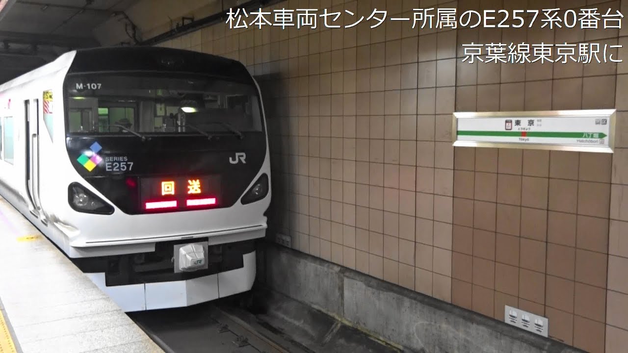 京葉線に松本車両センター所属のe257系が E257系0番台 特急さざなみ94号 東京行き 東京にて Youtube