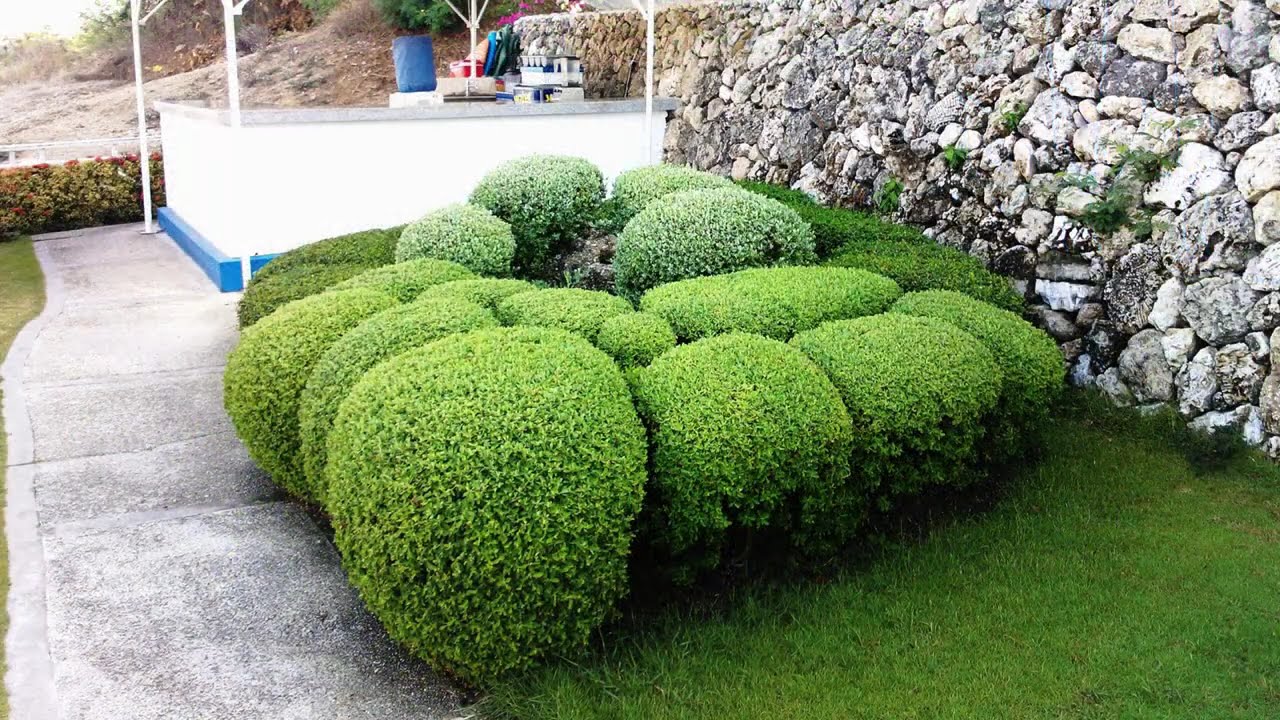 Thunderbird Resorts Poro Point Hotel, La Union 