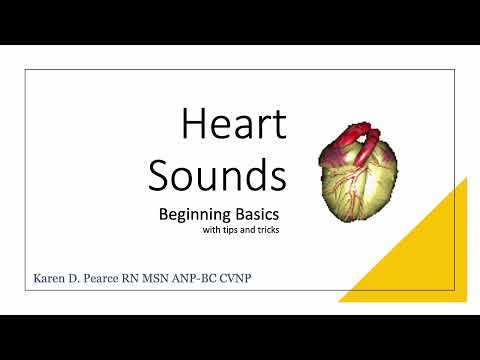 Heart Sounds Beginning