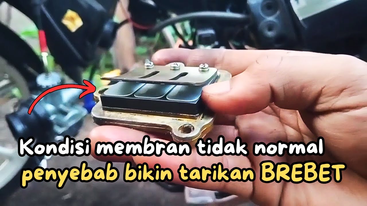 Ganti Lidah Membran F1ZR! Tarikan Enteng & Napas Panjang !!