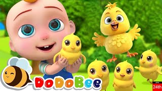 Live Stream Image