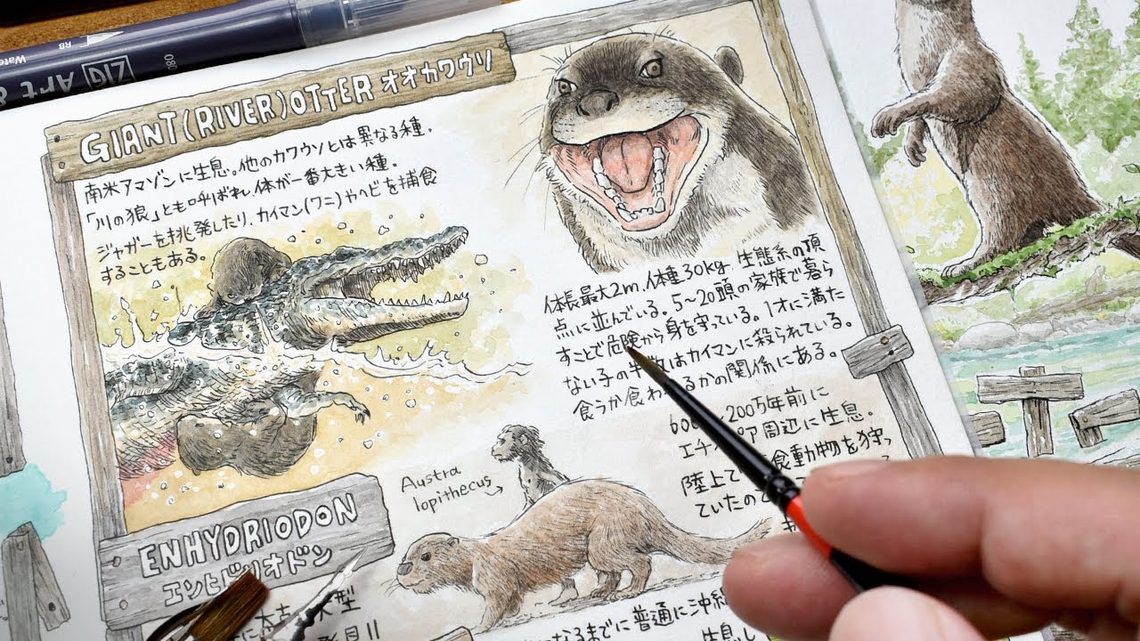 Illustration book] Animal edition 