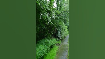 تلاوات مختارة / يونس اسويلص ( تَاللَّهِ لَتُسْأَلُنَّ عَمَّا كُنْتُمْ تَفْتَرُون ,,,)