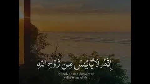 القارئ / محمد الغزالي