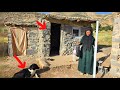 From the Heart of the Mountains to Land Ownership | A Mother's Tireless Journey to Build Her Dream H
