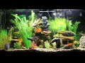 Fish Aquarium SOUNDS - Relaxation - 🌊9 HOURS 🐠  sleep, study, meditation