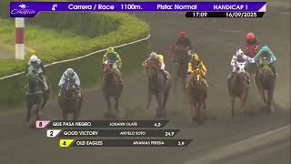 Vidéo de la course PMU NET WORLD