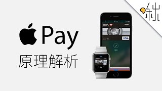 Apple Pay 是怎麼運作的 | 一探啾竟 第1集 | 啾啾鞋