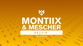 MONTIIX & MESCHER  BUZZIN'