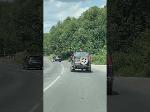 #Голова чтобы думать#🤣🤣