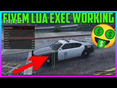 FiveM Lua Exec + Making Money drop on rp server + SHBypass + Dumper/Decrypter + Resource Blocker