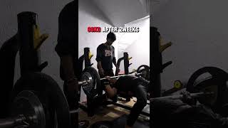 100kg attempt/ 30DEC |2025☝️#bench #benchpress #powerlfiting #powerlifter #sambata  #deadlifts #gym