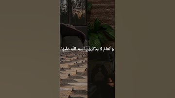 جزء من صلاة التراويح لي (القارئ أحمد الألفي) في الليلة الثامنة من شهر رمضان المبارك بإحدى المساجد🤍✨